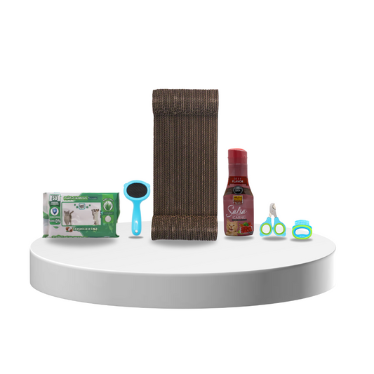 🐱✨ Michi Kit – Todo para tu Gato Consentido
